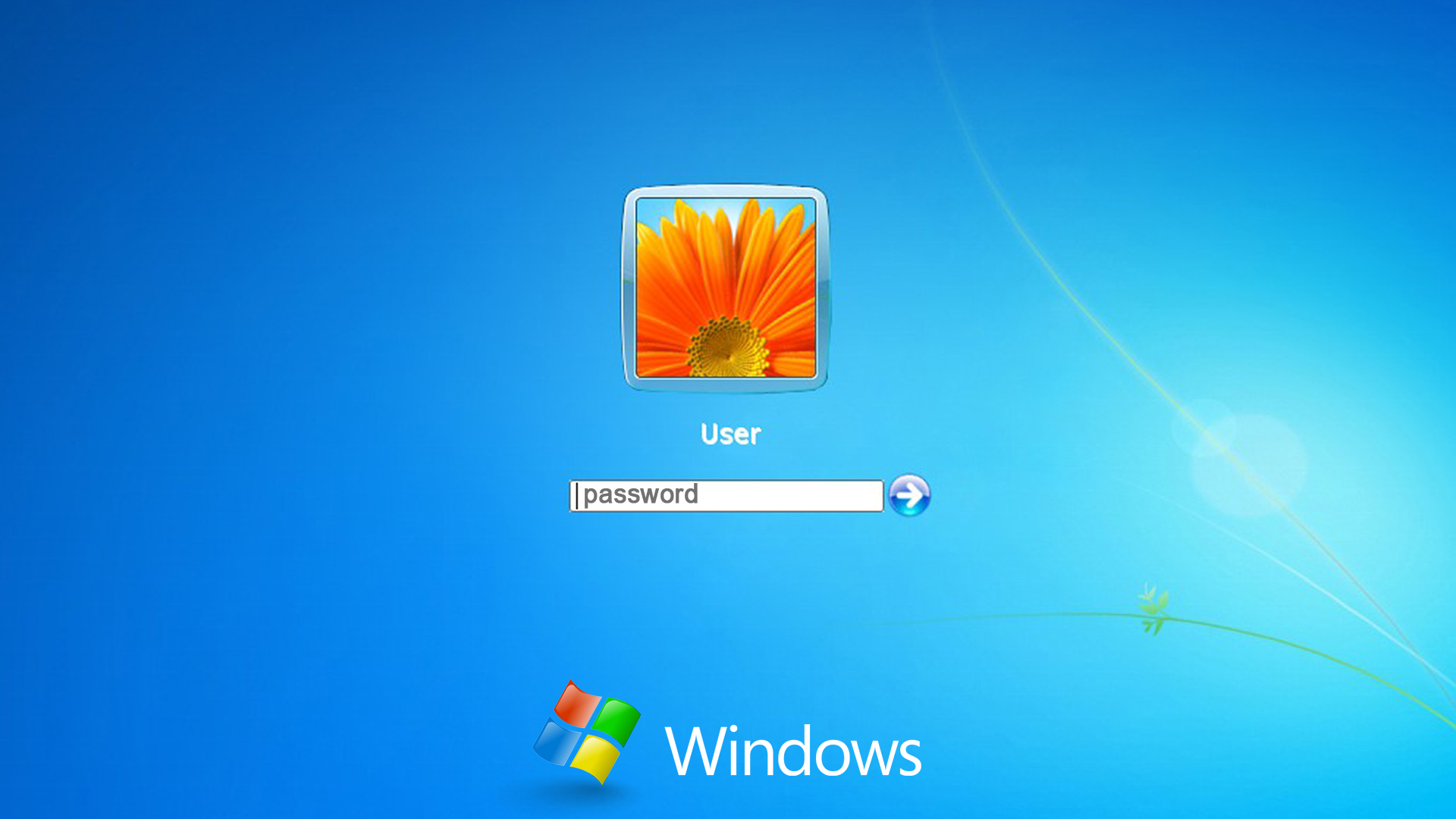 Сброс забытого пароля администратора / пользователя в Windows XP / Vista